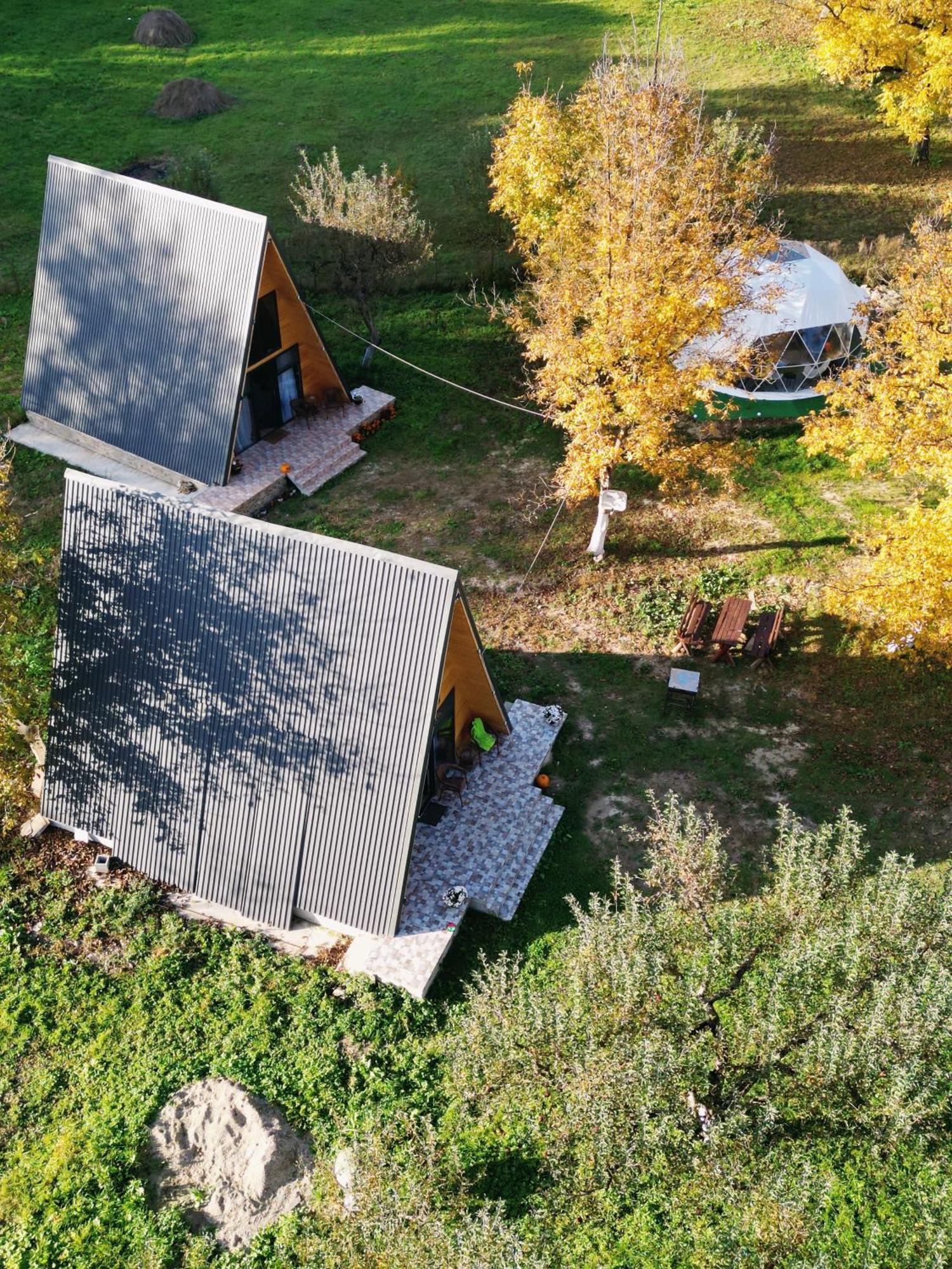 The Frog Glamping Otel Horezu Dış mekan fotoğraf