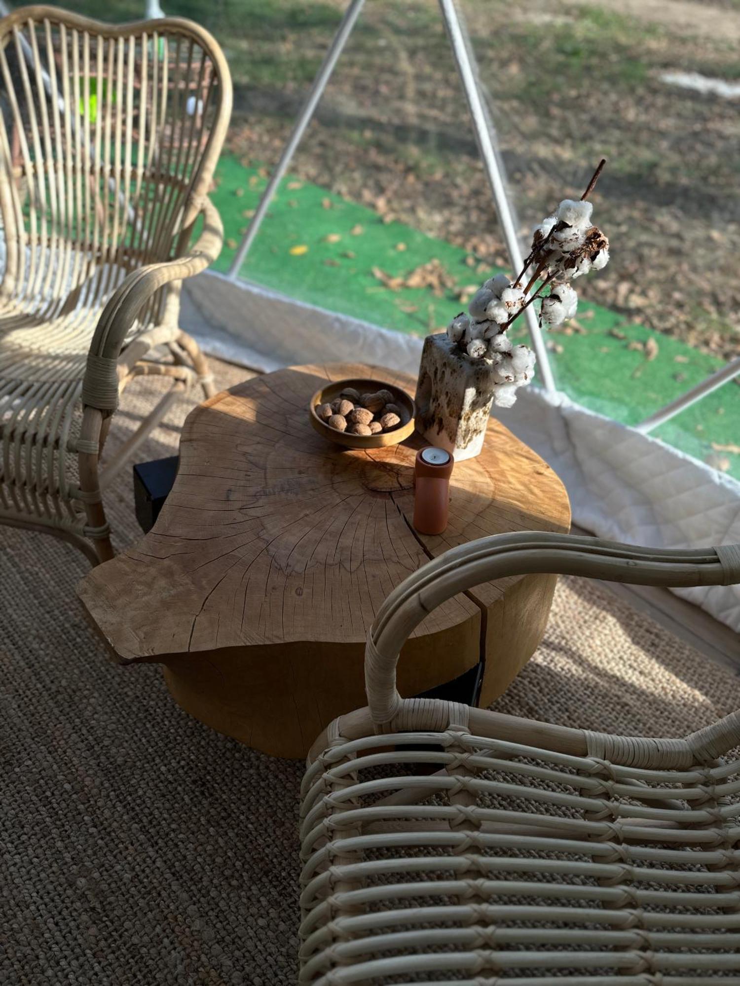 The Frog Glamping Otel Horezu Dış mekan fotoğraf