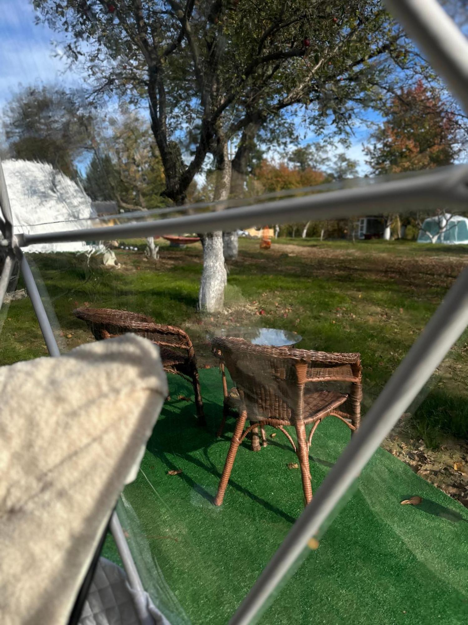 The Frog Glamping Otel Horezu Dış mekan fotoğraf