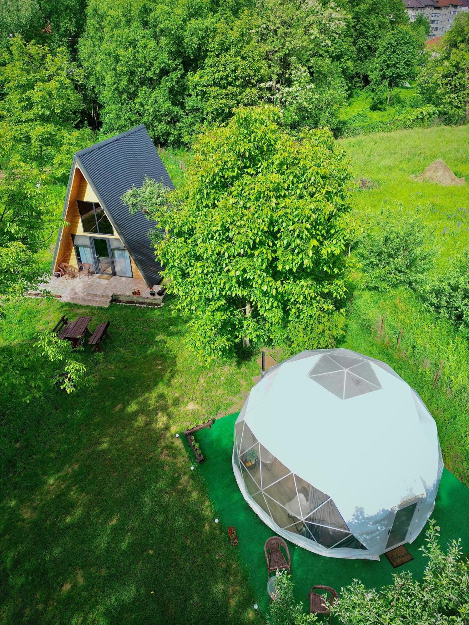 The Frog Glamping Otel Horezu Dış mekan fotoğraf