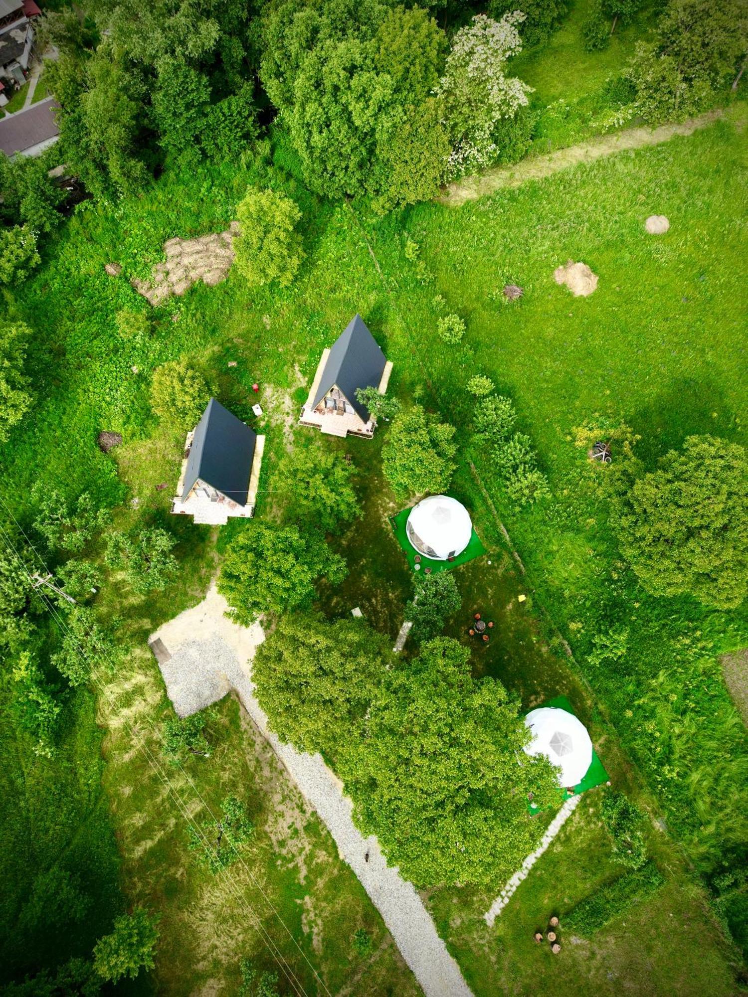 The Frog Glamping Otel Horezu Dış mekan fotoğraf