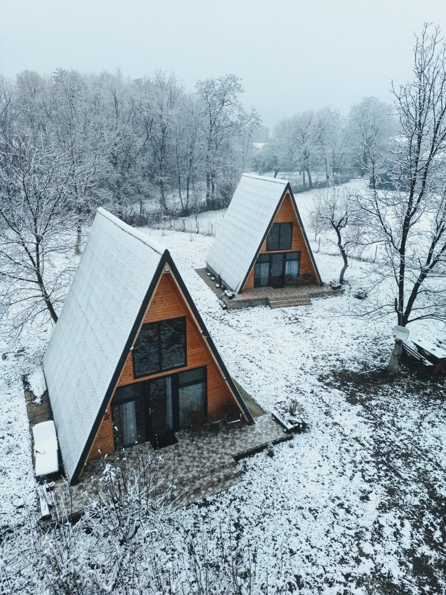 The Frog Glamping Otel Horezu Dış mekan fotoğraf