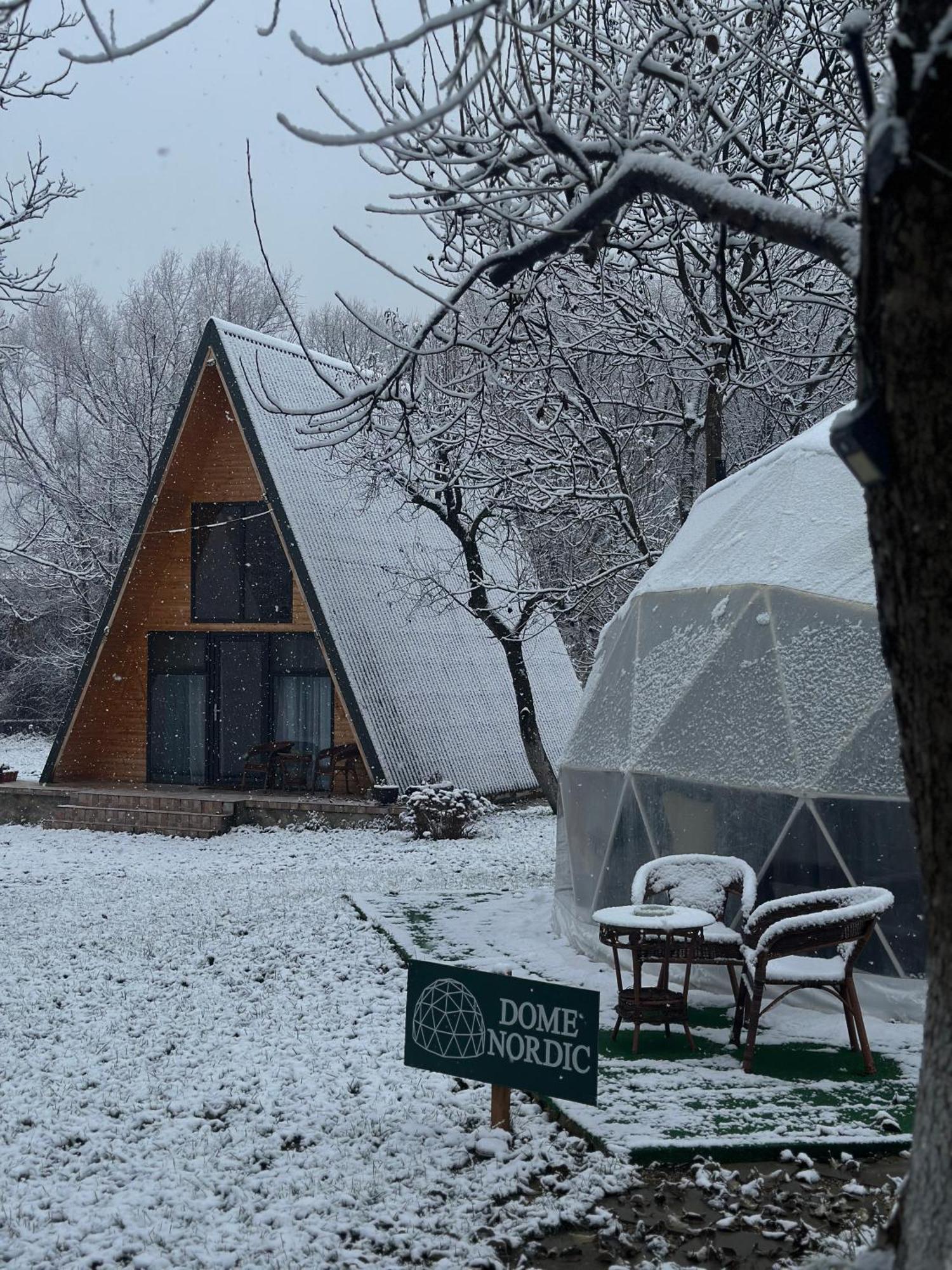 The Frog Glamping Otel Horezu Dış mekan fotoğraf