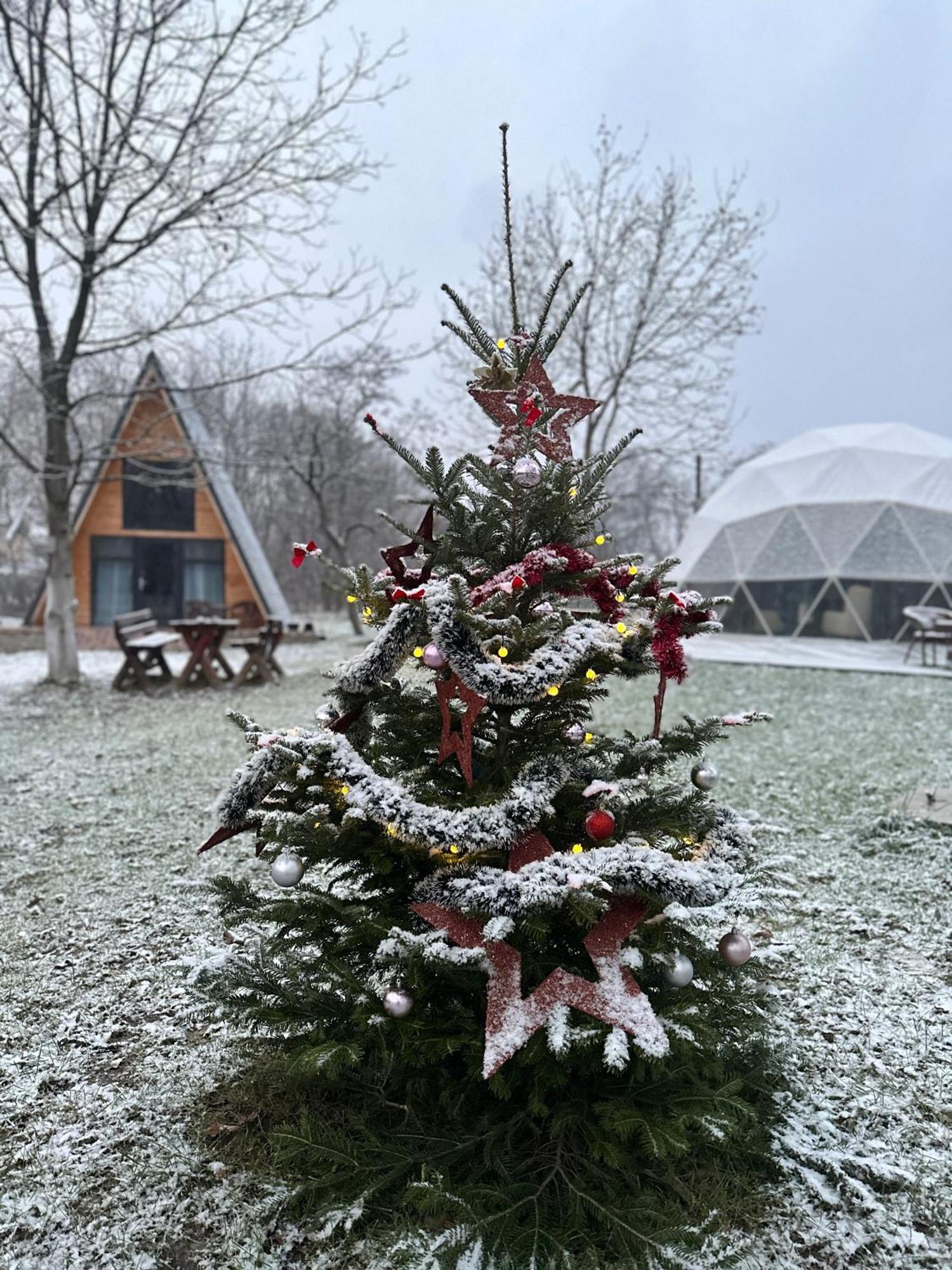 The Frog Glamping Otel Horezu Dış mekan fotoğraf