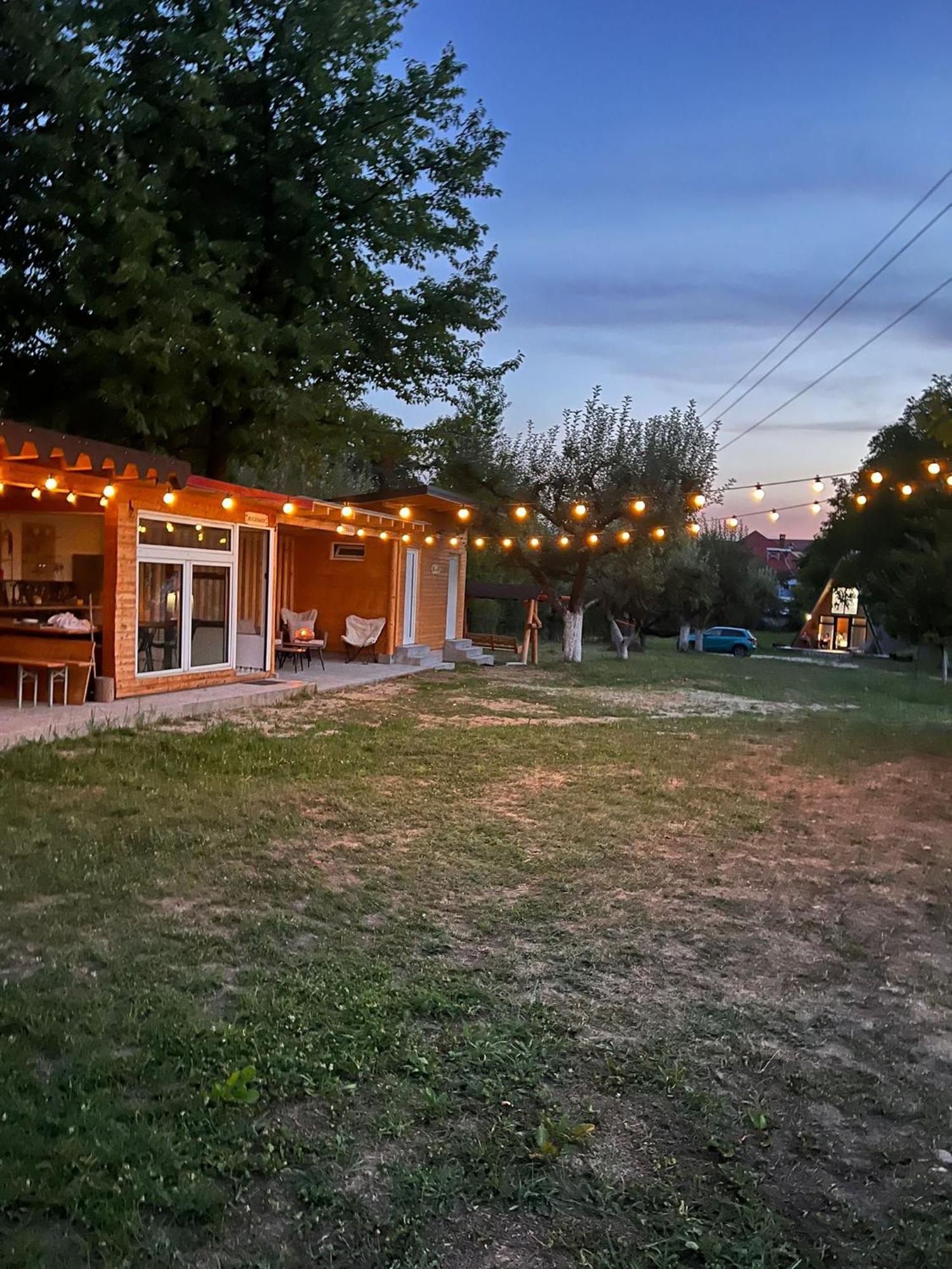The Frog Glamping Otel Horezu Dış mekan fotoğraf
