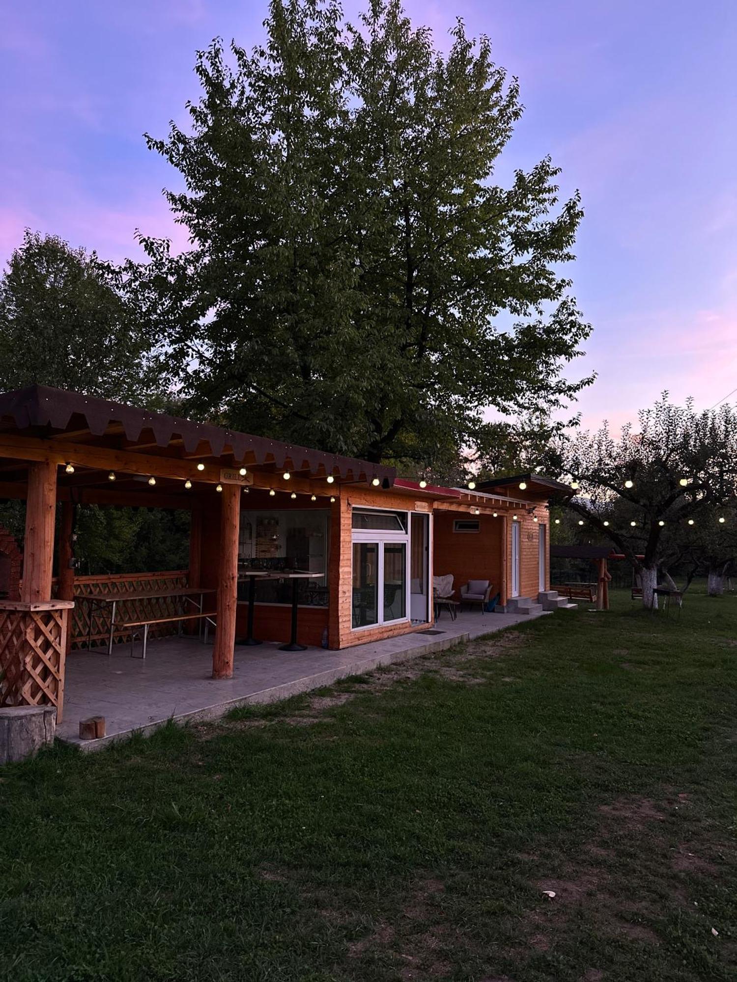 The Frog Glamping Otel Horezu Dış mekan fotoğraf