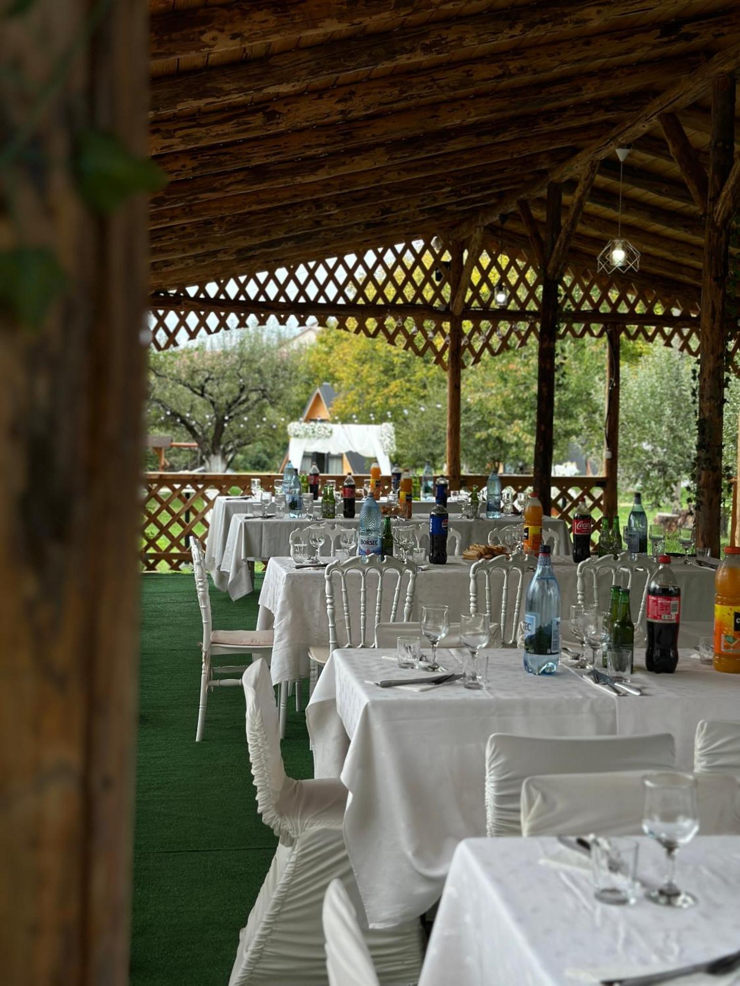 The Frog Glamping Otel Horezu Dış mekan fotoğraf